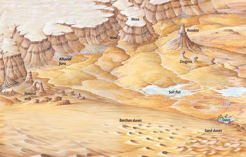 A desert landscape showing features