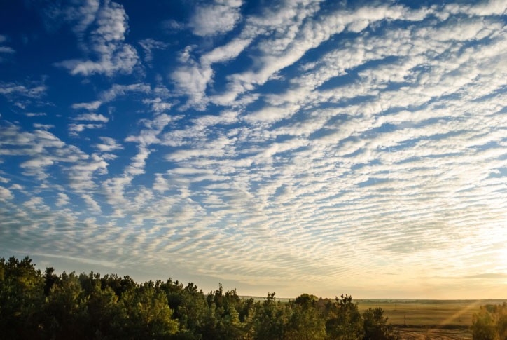Cirrocumulus clouds