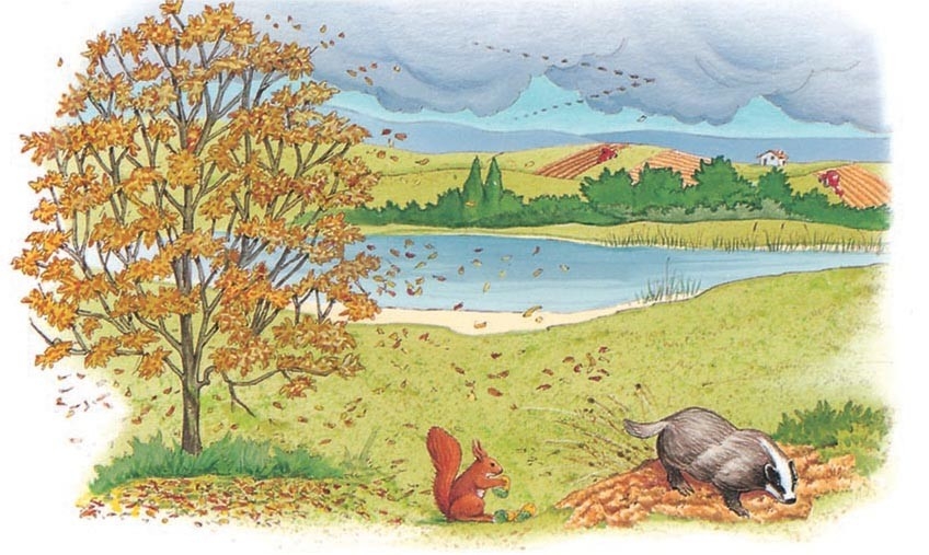 Autumn