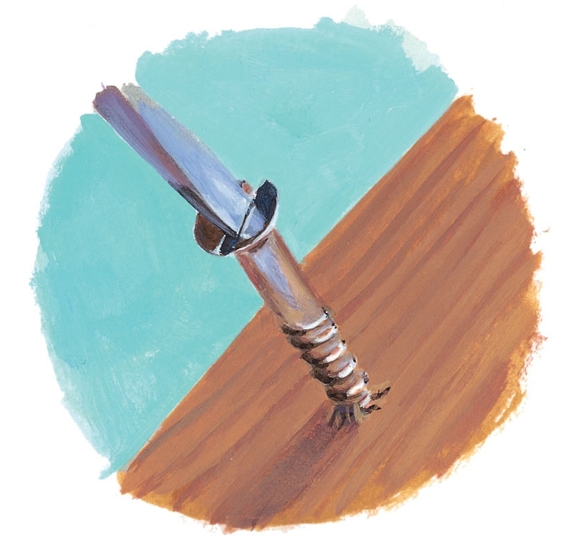 Screw