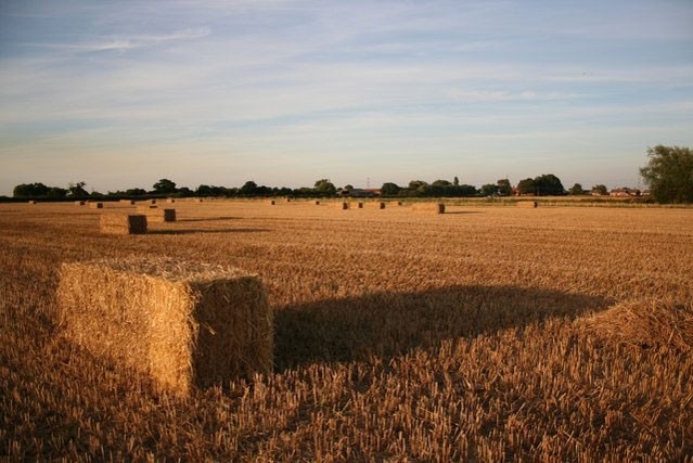 A straw bale casts a shadow in the evening sunshine