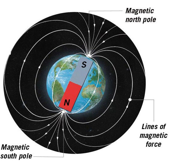 The Earth has a magnetic field and two magnetic poles.