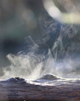 Water evaporates from a log in the morning sun.