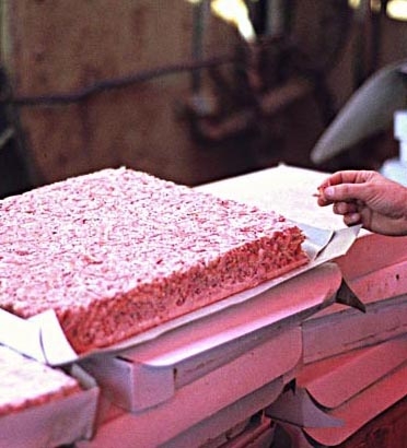 Frozen krill for use as animal feed (Uwe Kils)