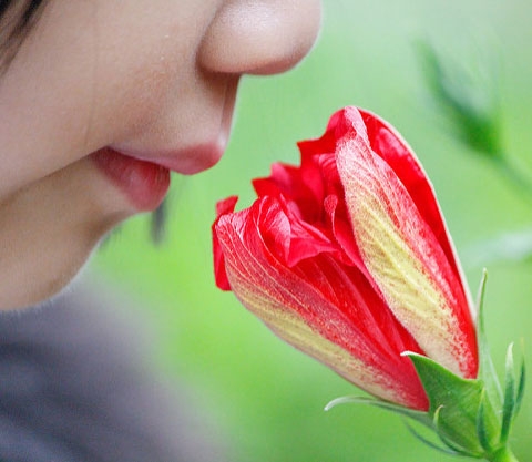A girl smelling a flower