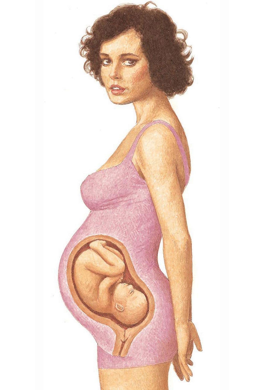A baby inside its mother’s womb