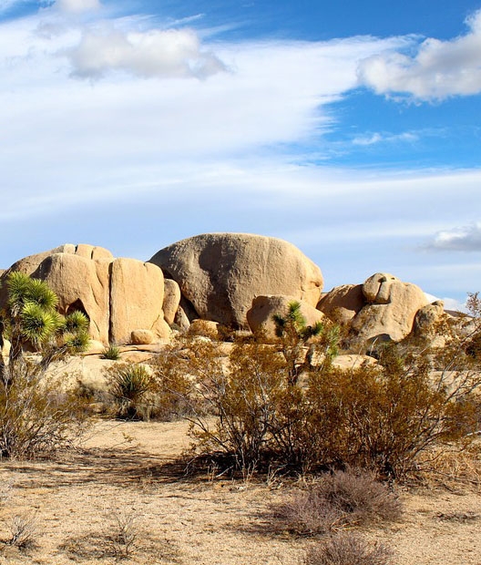 A view of the Mojave Desert in California