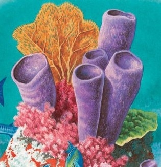 Tube sponges