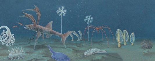 Animals of the deepwater abyssal plain