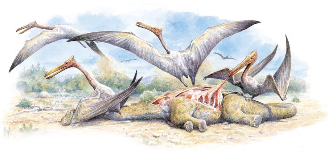 Quetzalcoatlus scavenging on a dinosaur carcass
