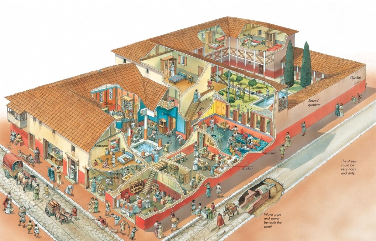 Cutaway illustration of a domus