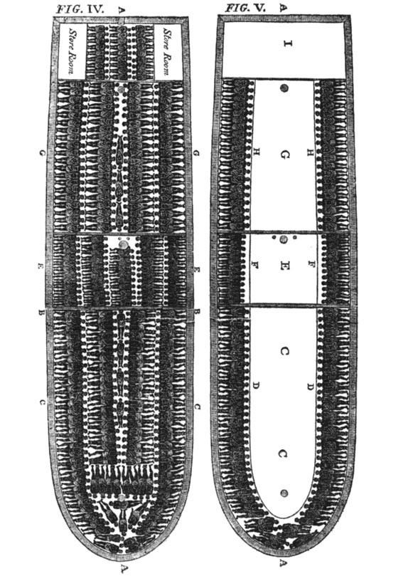 Plan of a slave ship