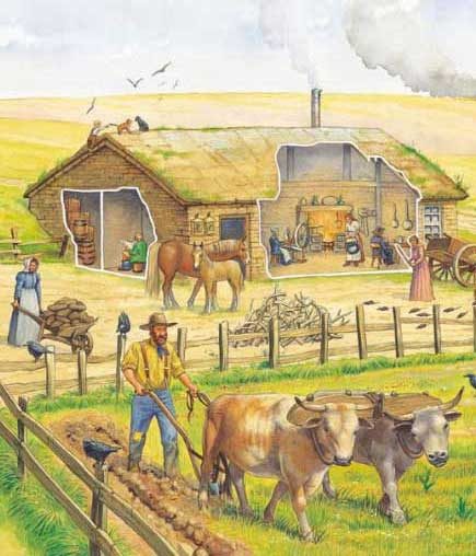 Life on a homestead