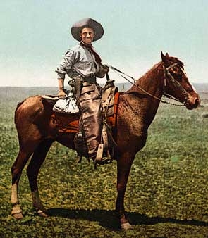 A cowboy on horseback
