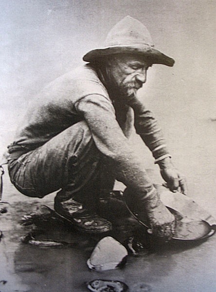 A forty-niner panning for gold