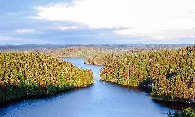 The forests and lakes of Finland