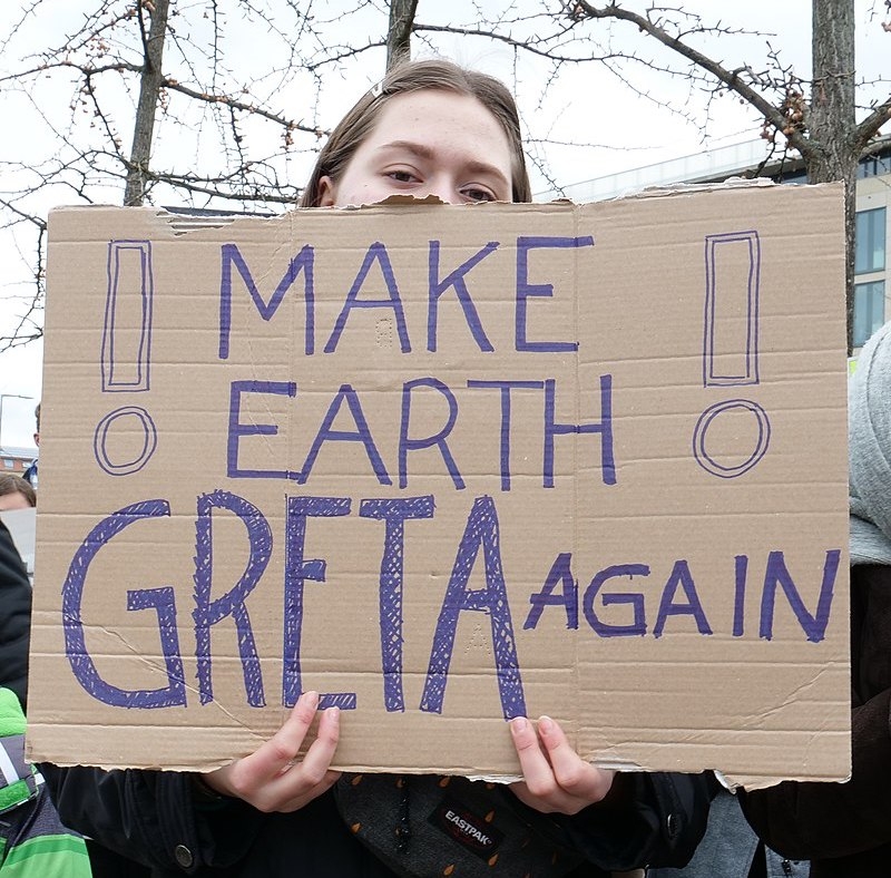 Fridays For Future slogan, Feb 2019 (Lenz)