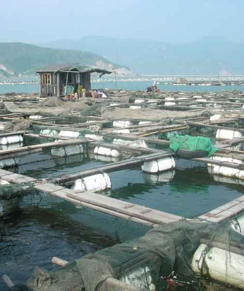 Fish farm in Fujian, China