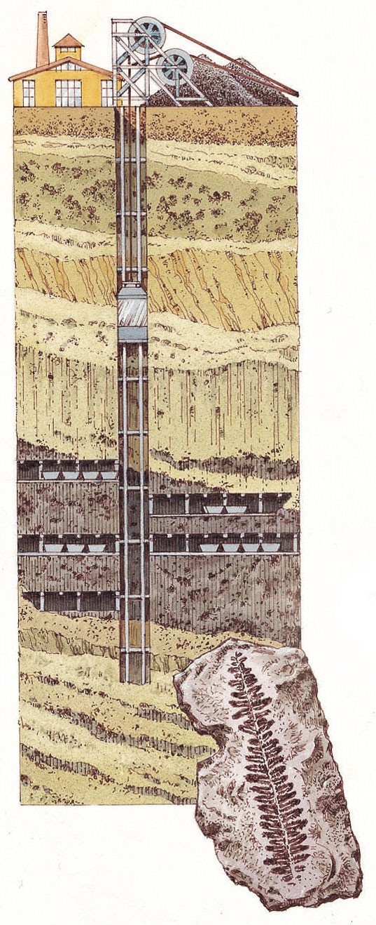 A cross-section through a coalmine