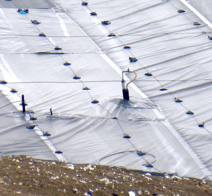 Landfill gas being collected from a capped landfill site