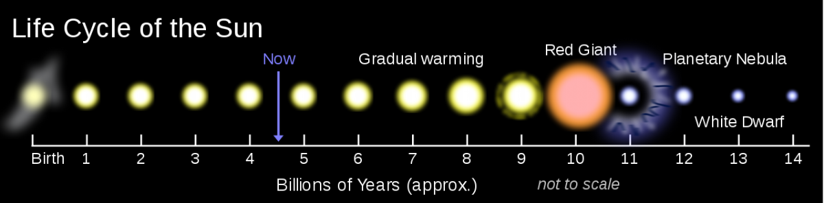 The life cycle of the Sun