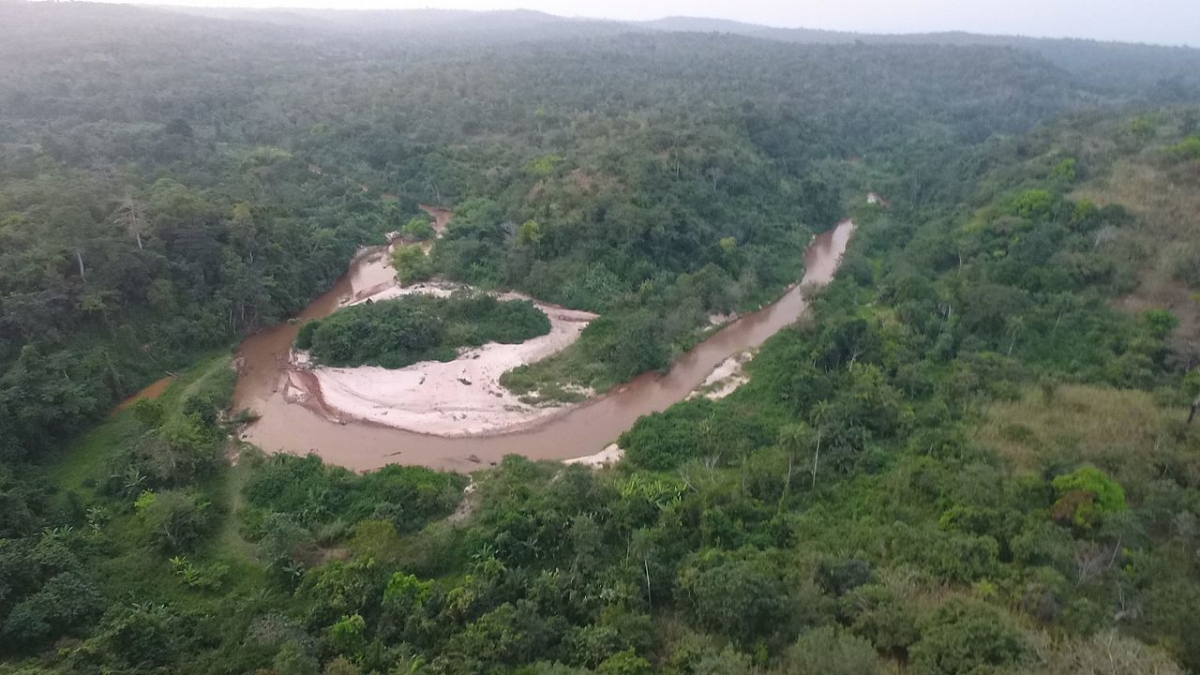 Aerial view of the rainforest in Edo state, Nigeria
