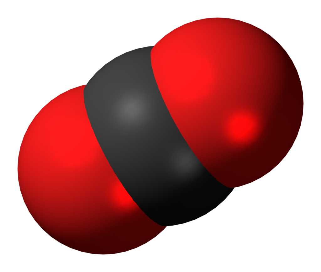 Model of the carbon dioxide molecule