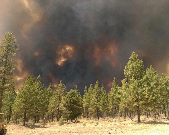 Wildfire, Klamath National Forest, California