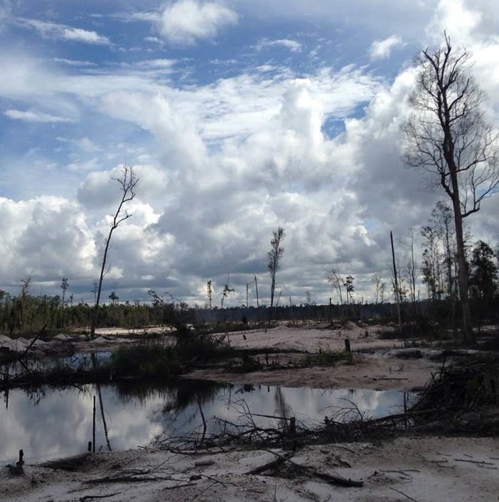 Indonesian forest cleared by slash-and-burn (USAID)