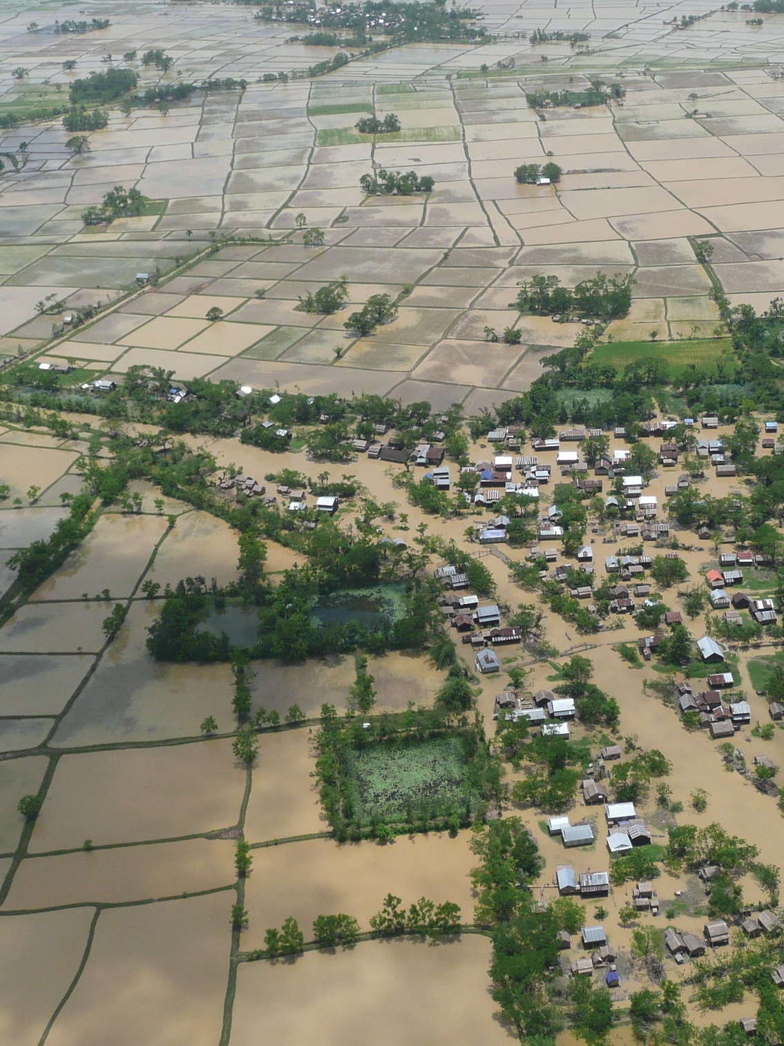 Ruined crops in Myanmar following a cyclone