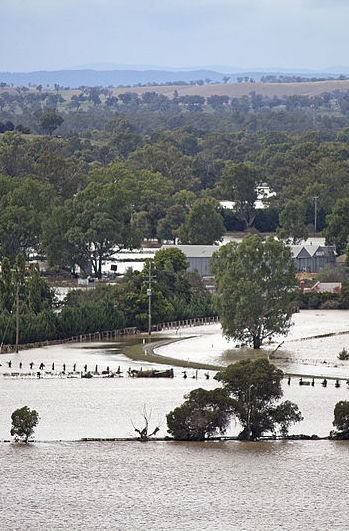 Murrumbidgee River (NSW) in flood