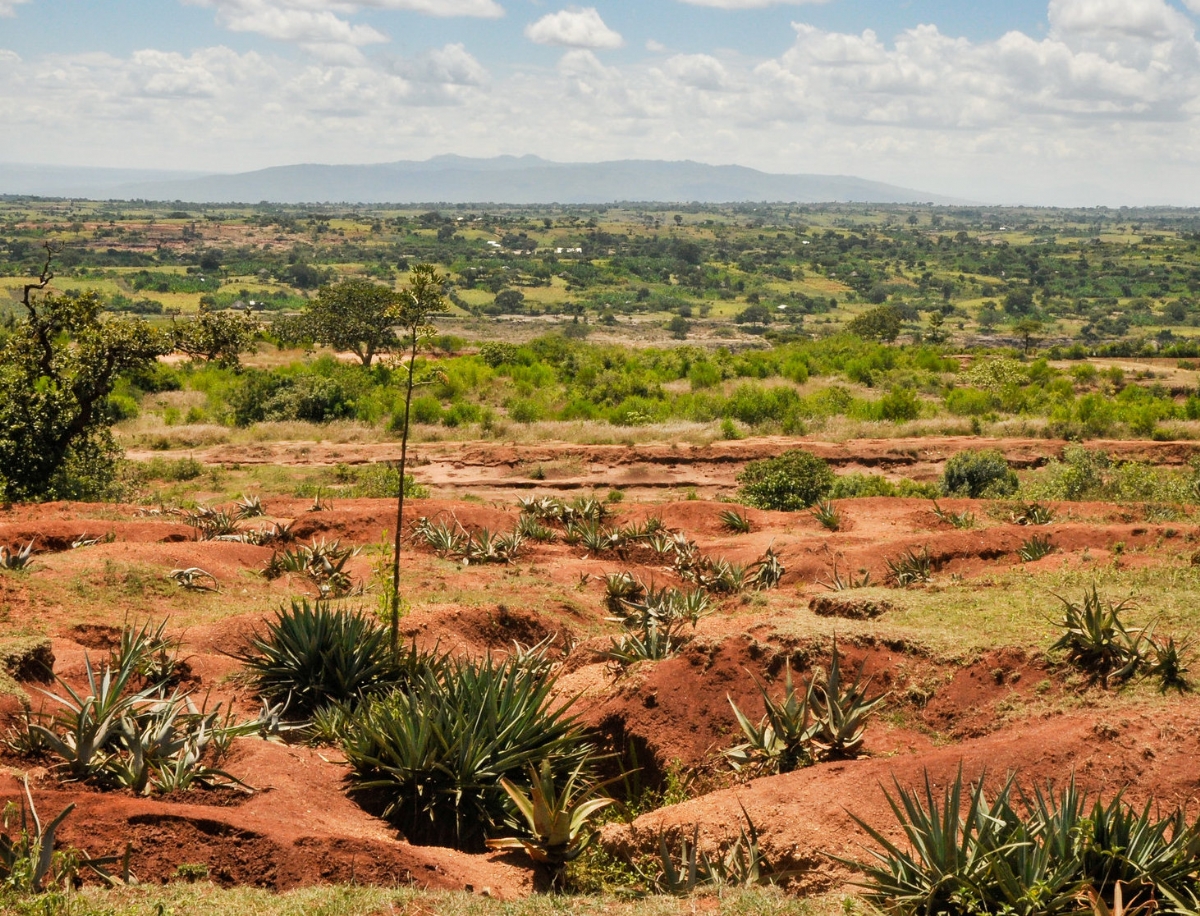 Tree planting project near Hawassa, Ethiopia