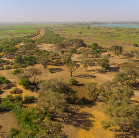 Goumel forest in Saint-Louis, Senegal