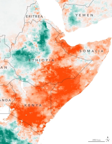 Soil moisture levels in the Horn of Africa, 2019