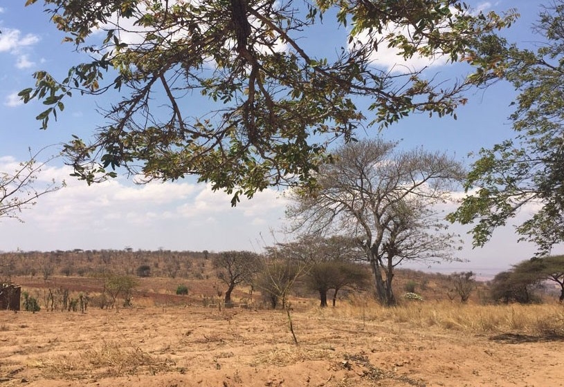 Exposed soils in parched cropfields in Tanzania