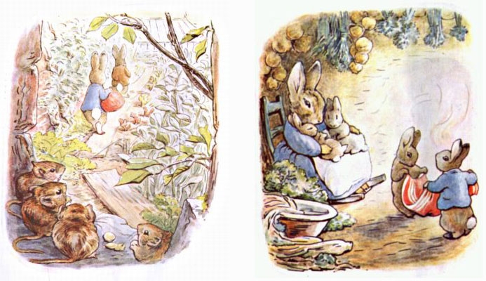 Two illustrations by Beatrix Potter