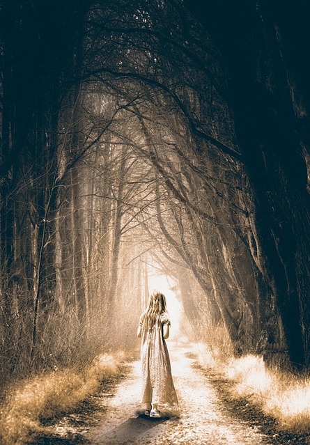 Scene from a nightmare? A spooky forest ...
