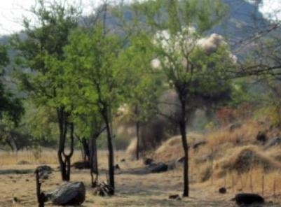 Landmine safely destroyed in Mozambique