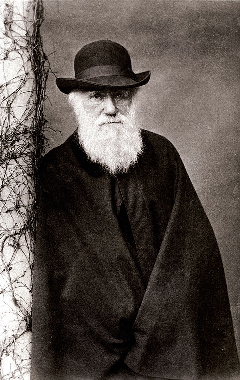 A photo of Darwin by Julia Margaret Cameron