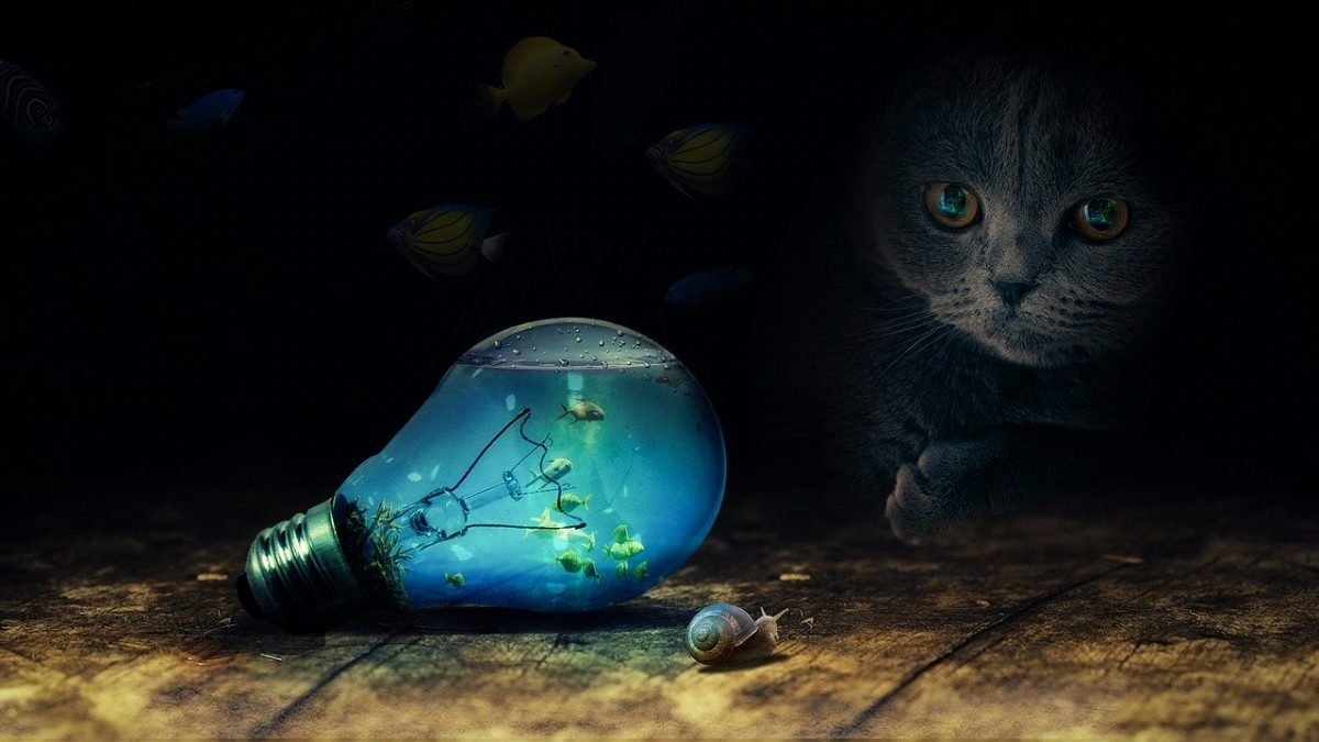 A digital photo that has been edited with software