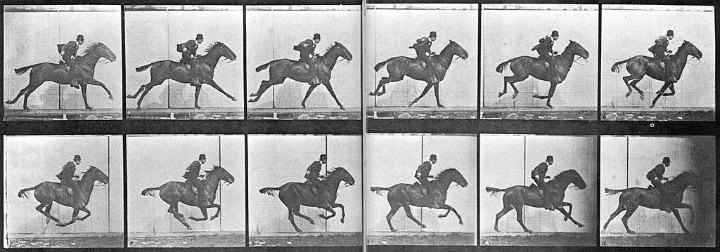 Sequence of a horse galloping by Eadweard Muybridge