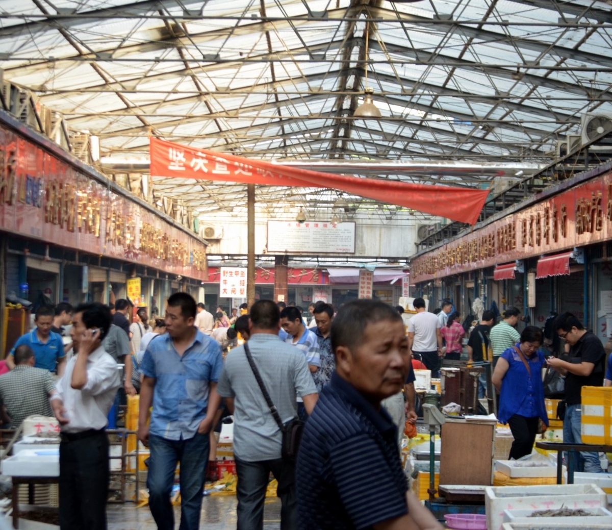 A wholesale seafood market in China