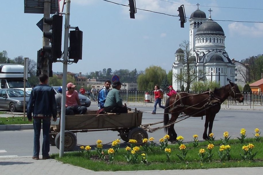 Romani men in a horse-drawn cart, Romania