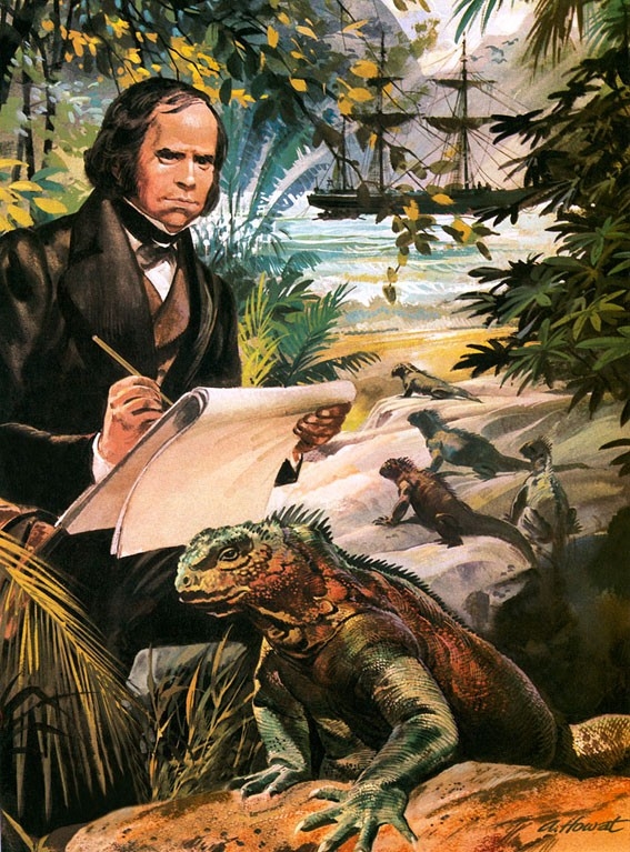 Charles Darwin studies marine iguanas