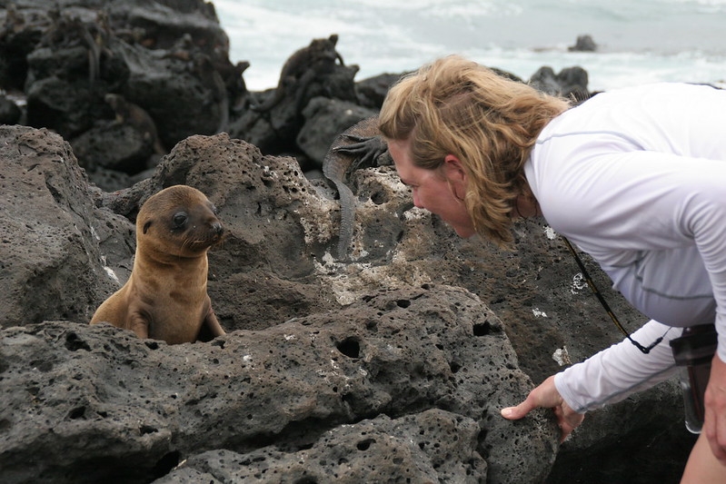 A tourist gets up close to a Galapagos sea lion