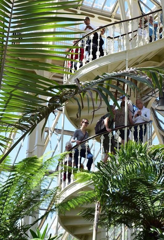 Inside a glasshouse at Kew Gardens