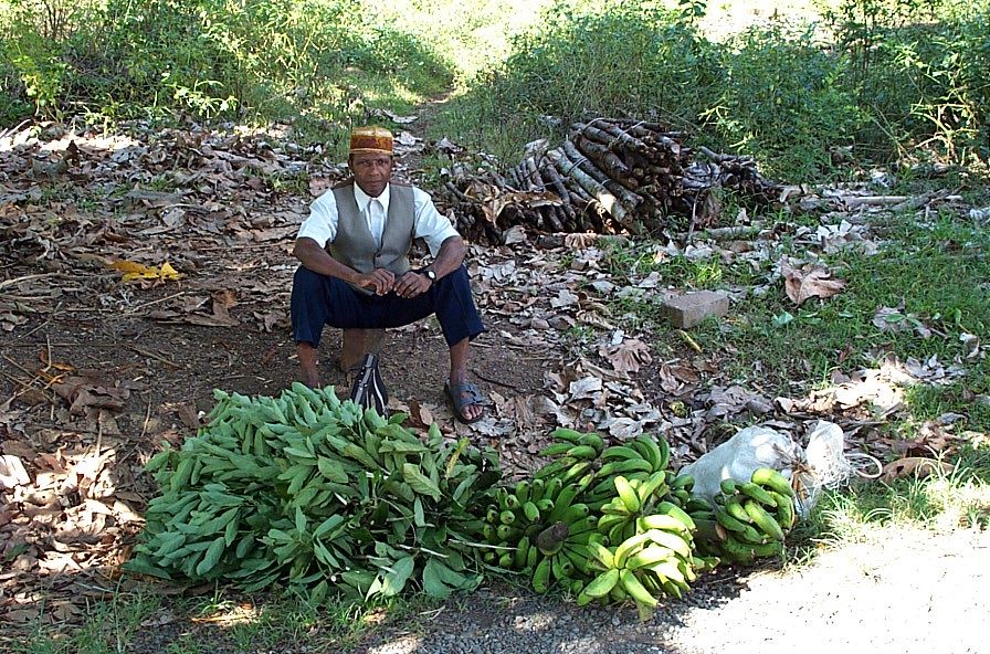 A banana seller