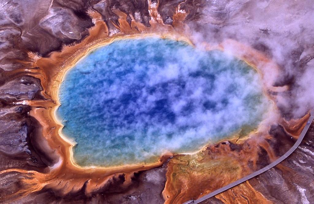 Thermophiles inhabit the hot waters of Grand Prismatic Spring