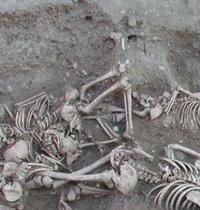 The remains of plague victims in a mass grave