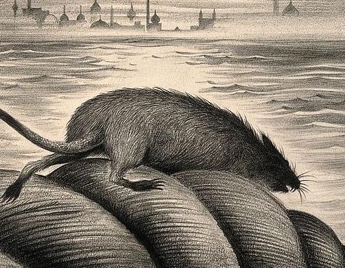 A plague rat leaving a ship along its mooring rope